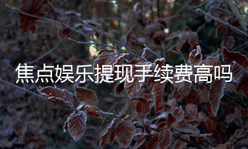 焦点娱乐提现手续费高吗？资深玩家解析费用详情与应对技巧
