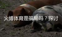 火博体育是骗局吗?探讨真相
