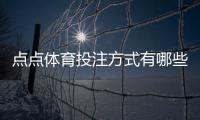 点点体育投注方式有哪些?新手入门、投注玩法与渠道全面解析