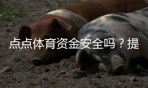点点体育资金安全吗?提现流程、风控措施与用户口碑全面评测