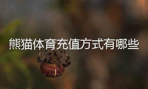熊猫体育充值方式有哪些?新手必看支付渠道、充值流程与安全注意事项
