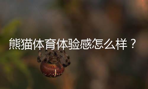 熊猫体育体验感怎么样?真实体验评测、优缺点与新手使用攻略