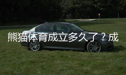 熊猫体育成立多久了？成立时间、发展历程与主要业务一文看懂
