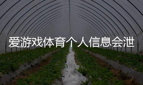爱游戏体育个人信息会泄漏吗?隐私风险解析、官方政策与防护攻略