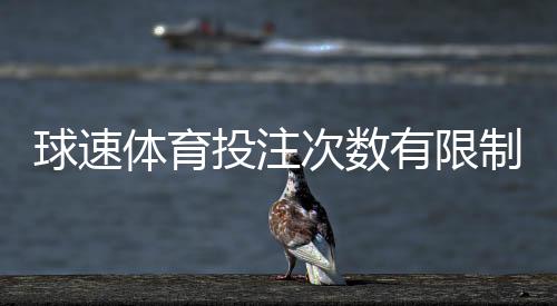 球速体育投注次数有限制吗?详解平台规则与突破技巧