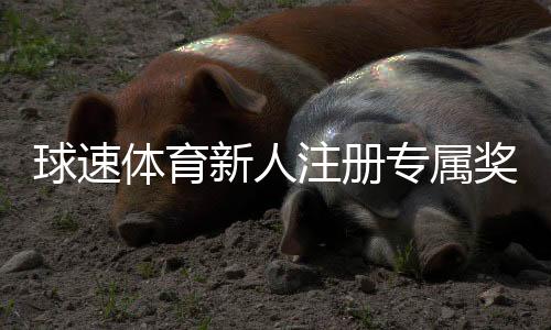 球速体育新人注册专属奖励:首存礼包与高额返水等你拿