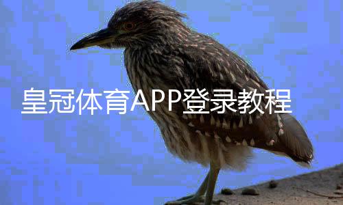 皇冠体育APP登录教程:账号注册、下载安装与常见问题解决