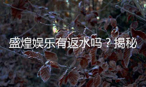盛煌娱乐有返水吗?揭秘返水比例与领取攻略