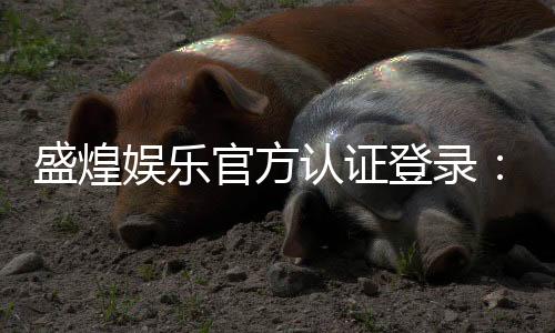 盛煌娱乐官方认证登录:安全便捷的一站式游戏入口