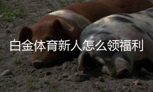 白金体育新人怎么领福利:完善指南