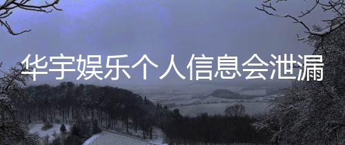 华宇娱乐个人信息会泄漏吗?深度解析平台安全性与防护措施