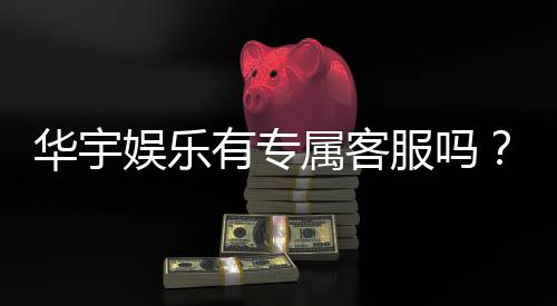 华宇娱乐有专属客服吗?为您揭秘VIP一对一服务体验