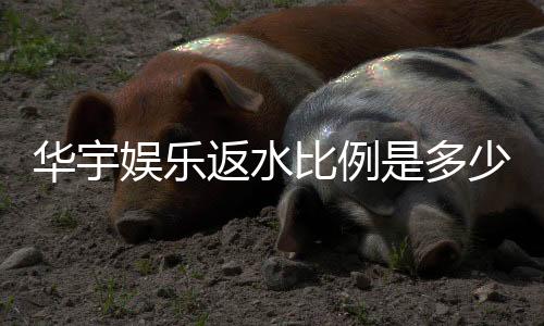 华宇娱乐返水比例是多少?最新返水政策及高比例技巧解析