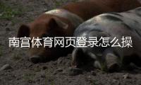 南宫体育网页登录怎么操作?新手注册登录步骤与常见问题解答