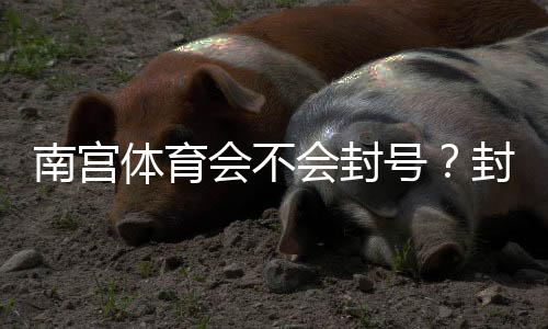 南宫体育会不会封号?封号原因、预防技巧与申诉流程全解析
