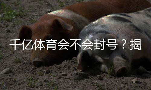千亿体育会不会封号?揭秘真相