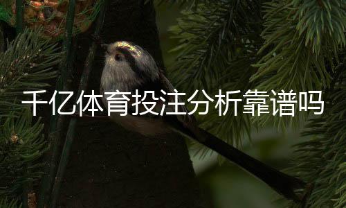 千亿体育投注分析靠谱吗?技术解析