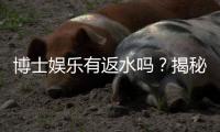 博士娱乐有返水吗?揭秘返水规则与高返利技巧