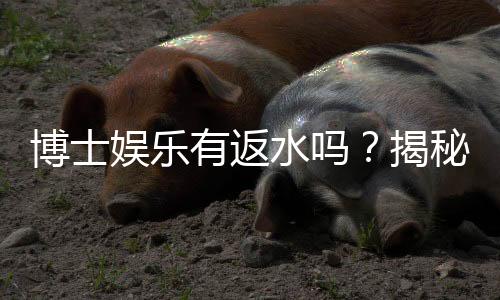 博士娱乐有返水吗?揭秘返水规则与高返利技巧