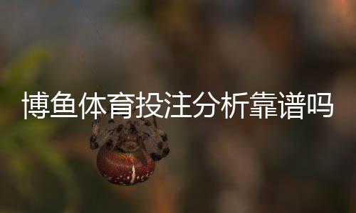 博鱼体育投注分析靠谱吗?全面评测:真实效果、风险与使用建议