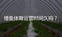 博鱼体育运营时间久吗?运营年限、资质认证与用户口碑全面解析