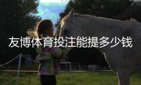 友博体育投注能提多少钱?最新提现额度、到账时间与注意事项全解析
