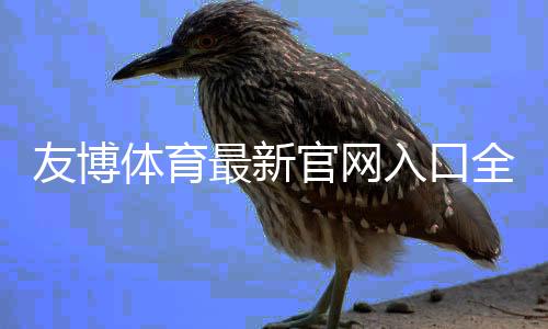 友博体育最新官网入口全解析:官方访问、注册登录与安全充值指南