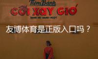 友博体育是正版入口吗?官方真假辨别与安全登录指南