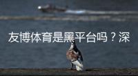 友博体育是黑平台吗?深度评测与真实用户投诉分析