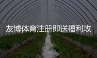 友博体育注册即送福利攻略:新手领取步骤、优惠说明与注意事项