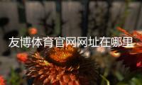 友博体育官网网址在哪里?最新版官方入口、登录方法与安全访问指南