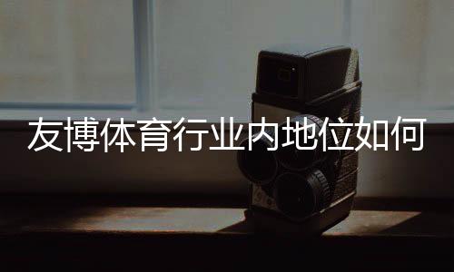 友博体育行业内地位如何?市场表现、竞争优势与用户口碑全面解析