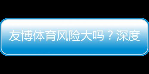 友博体育风险大吗?深度解析平台安全性、资金保障与防骗攻略