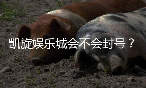 凯旋娱乐城会不会封号?深度解析账号安全与防封技巧