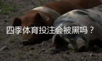四季体育投注会被黑吗?平台安全性真实分析与用户防护指南