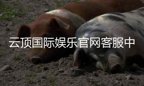 云顶国际娱乐官网客服中心:专业服务与高效解决方案指南