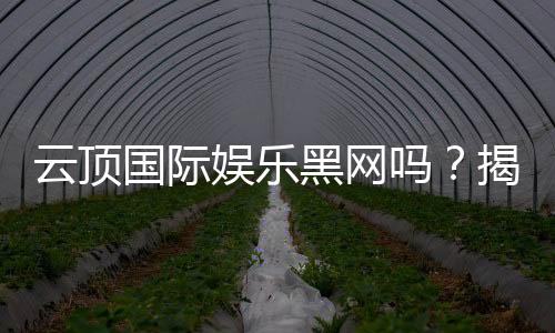 云顶国际娱乐黑网吗?揭秘其安全性与真实内幕