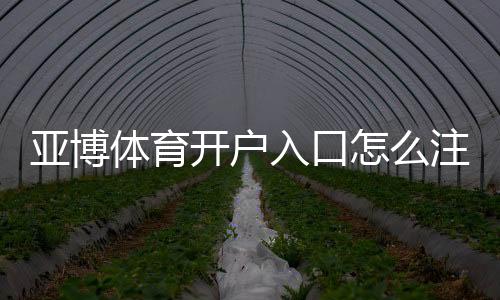 亚博体育开户入口怎么注册?新手一步步开户教程与常见问题解答