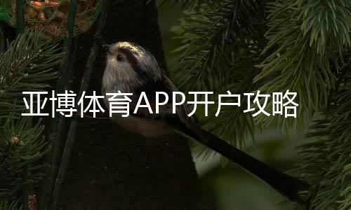 亚博体育APP开户攻略:新手注册流程、身份验证与首存优惠详解
