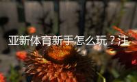 亚新体育新手怎么玩?注册、充值、投注全流程与实用入门攻略