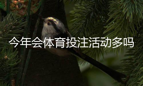 今年会体育投注活动多吗?平台促销趋势解读与理性参与建议