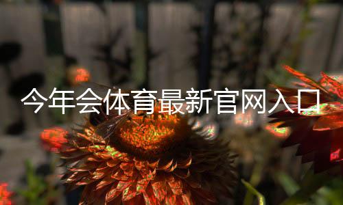 今年会体育最新官网入口:官方直达链接、登录步骤与访问安全指南