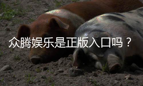 众腾娱乐是正版入口吗?揭秘平台资质与安全玩法指南