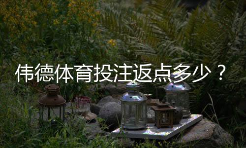 伟德体育投注返点多少?最新返点比例、返水计算与领取攻略