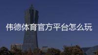 伟德体育官方平台怎么玩?新手注册、充值、安全与玩法全攻略