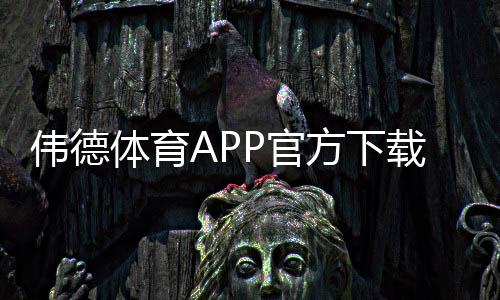 伟德体育APP官方下载通道是什么?2026最新版下载与安装安全全攻略