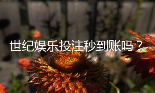 世纪娱乐投注秒到账吗?实测到账速度与平台可靠性解析