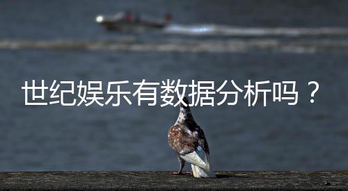 世纪娱乐有数据分析吗?深度解析其数据服务与玩家体验