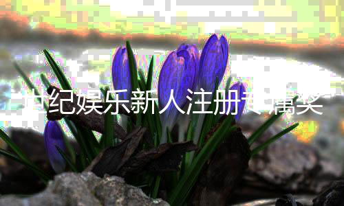 世纪娱乐新人注册专属奖励：首存礼包与VIP特权详解
