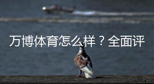 万博体育怎么样?全面评测:安全可靠吗、真实用户体验与充值提现攻略